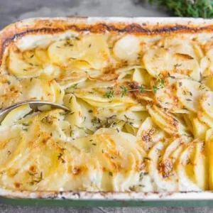 Potato Gratin